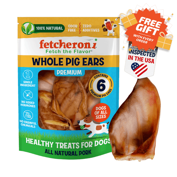Fetcheroni single-ingredient chew
