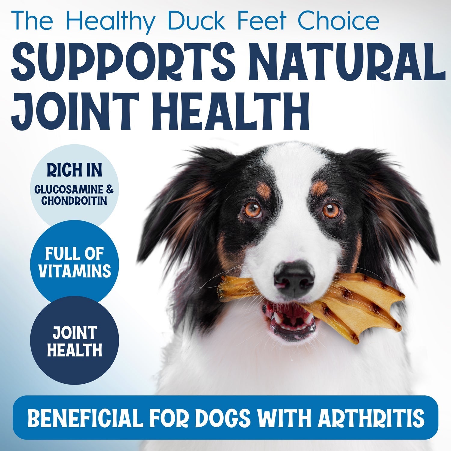 Collagen Sticks Draw Attention for Potential Benefits to Joint Health