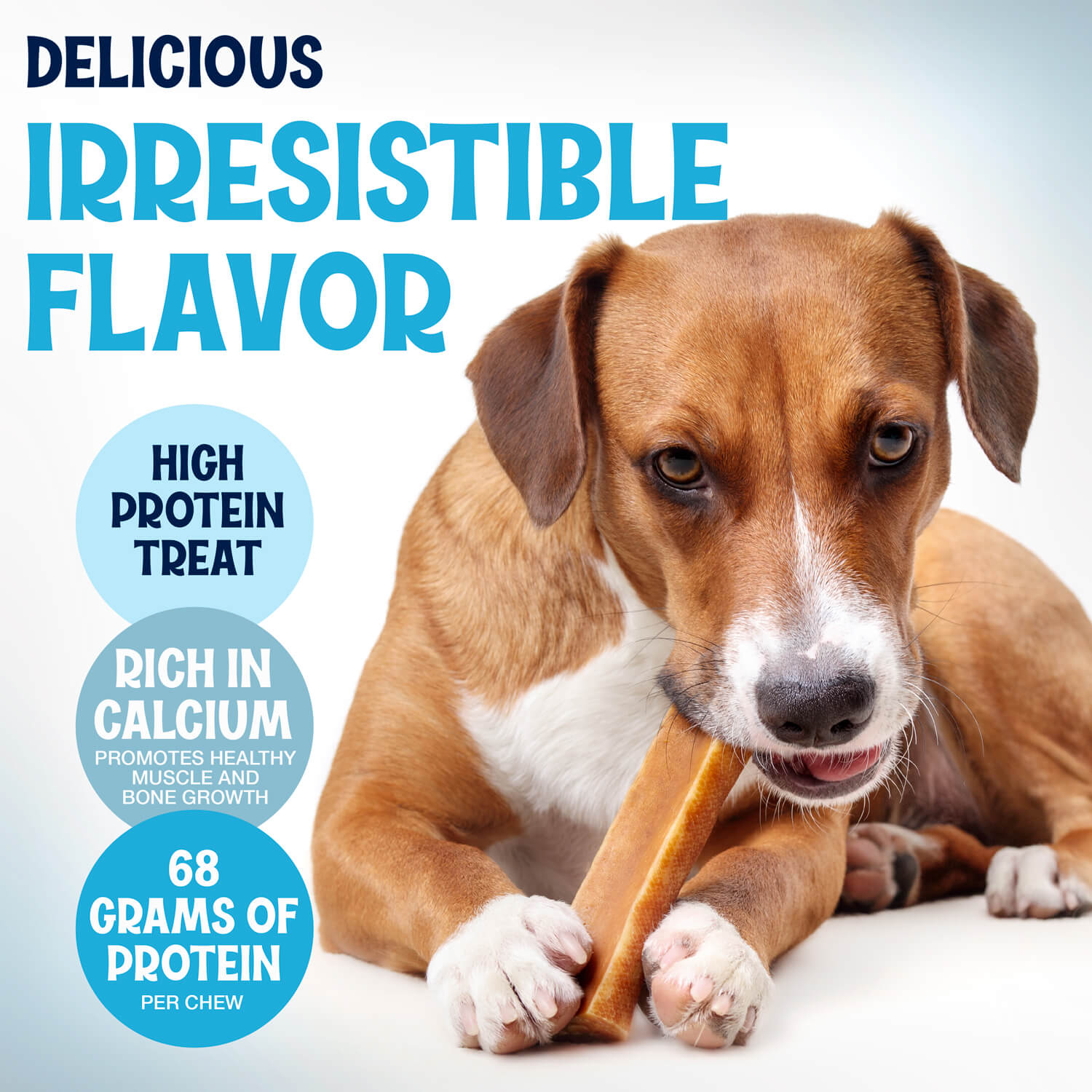 Yak Cheese Chews Serve as Durable Option for Aggressive Chewers