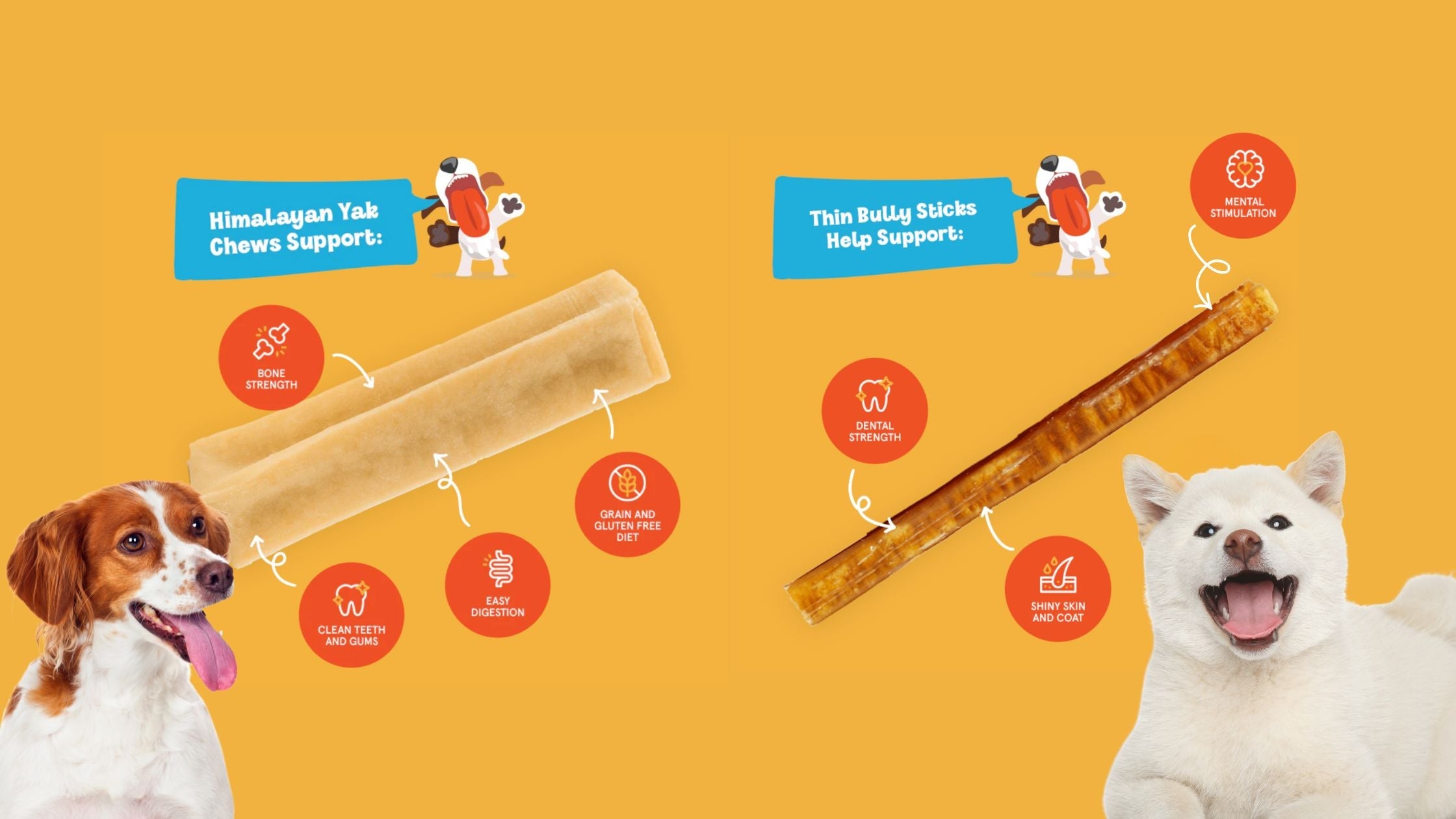 How Switching to Single-Ingredient Treats Like Yak Cheese Can Transform Your Dog's Health