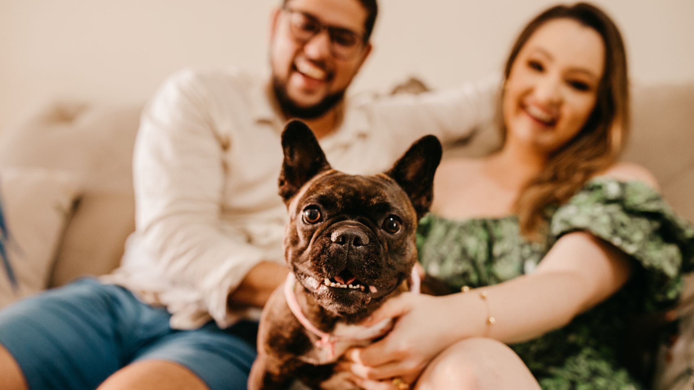 Why So Many Pet Owners Are Switching to Yak Cheese Chews and Bully Sticks for Healthier Chew