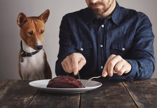 Pet Owners Favor Grain-Free Treats to Manage Sensitivities