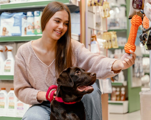 The Rise of Chemical-Free Options in the Dog Snack Market