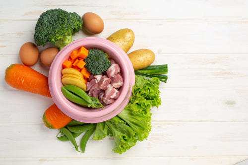 How Natural Treats Support Digestive Health in Dogs