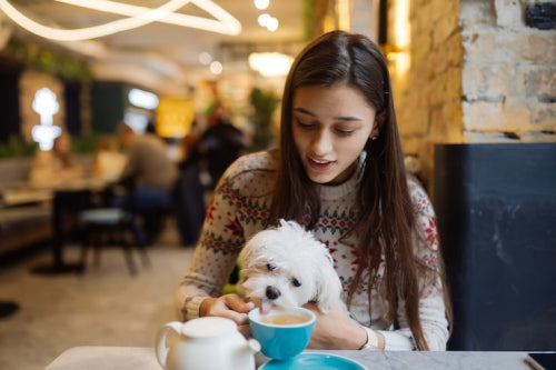 European and North American Trends Show Shift to Transparent Pet Foods