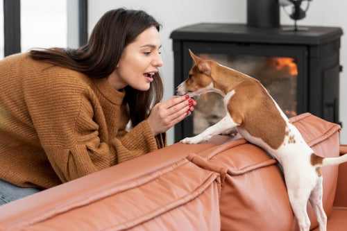 Long-Lasting Natural Chews Help Occupy Indoor Dogs