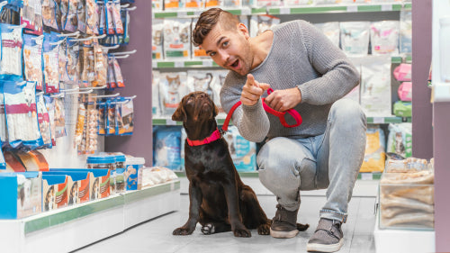 Direct-to-Consumer Brands Expand Access to Premium Natural Chews