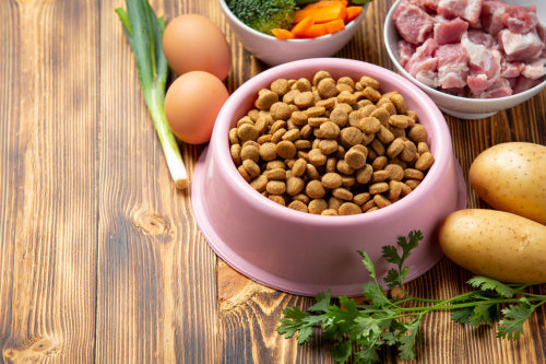 Natural Protein Sources in Treats Support Muscle Health