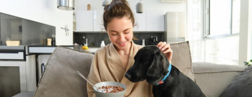 As Pet Owners Prioritize Simpler Ingredients, Single-Ingredient Dog Treats Gain Popularity
