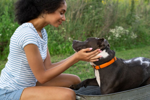 Sustainable Sourcing Emerges as Factor in Dog Treat Selection