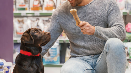 Safety and Digestibility Remain Central Concerns in Chew Selection