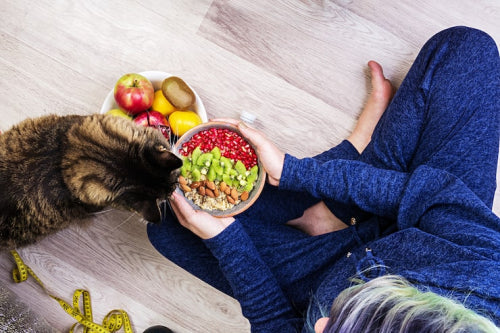 Veterinary Perspectives on Integration of Natural Treats in Diets