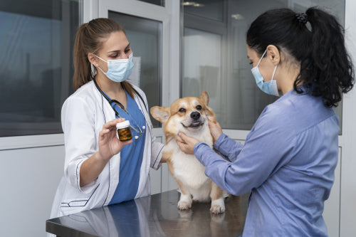 Single-Ingredient Chews Facilitate Management of Food Allergies