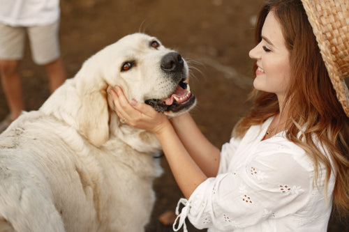 Collagen Content in Treats Associated With Skin and Coat Health