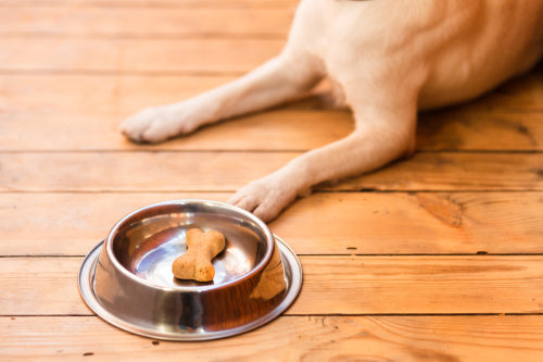 Low-Fat Natural Chews Provide Balanced Option for Weight Management
