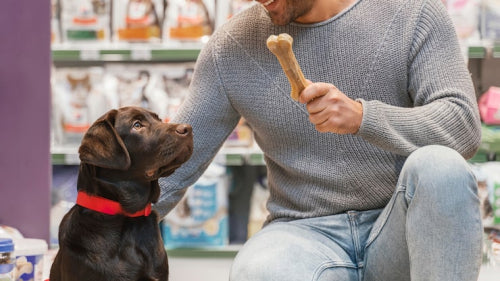 Consumer Demand Drives Higher Standards for Natural Dog Treats