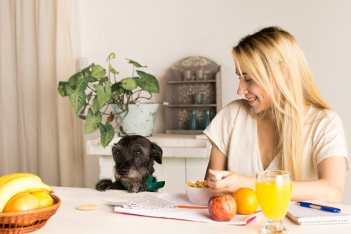 Functional Natural Ingredients Interest Informed Pet Parents