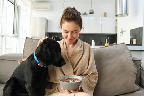 How to Keep Your Dog Healthy with High-Protein Treats
