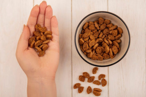 Why Grain-Free Dog Treats Are the Best for Your Pet