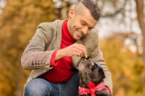 Natural Dog Treats: Why They Are Worth the Investment