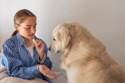 Why You Should Avoid Additives in Your Dog's Treats