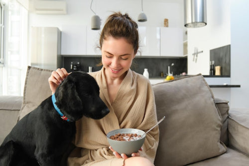 The Best Healthy Dog Chews for Picky Eaters