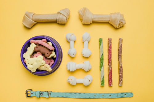 The Science Behind Long-Lasting Dog Chews