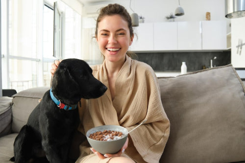 Long-Lasting Dog Chews: How They Keep Your Pet Happy and Healthy