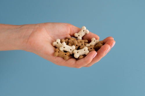 Choosing Rawhide-Free Dog Chews: What's Best for Your Pet
