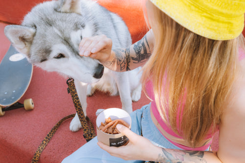Regulatory scrutiny of additives in commercial pet treats