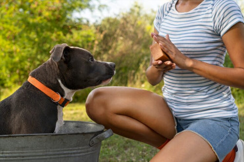 Consumer demand for preservative free dog treats across regions