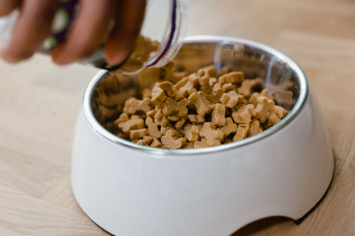 High protein dog treats in active canine diets