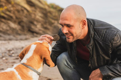 Rawhide free dog chews gaining attention in urban markets