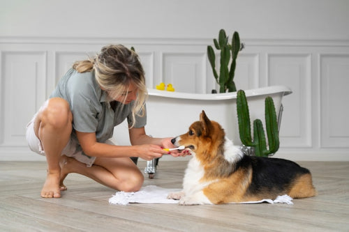 Natural dog treats and canine oral hygiene practices