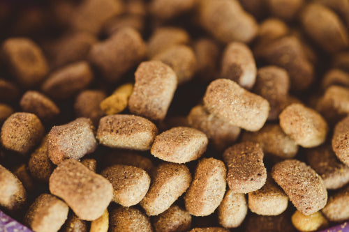 Safety considerations in rawhide alternative chew products