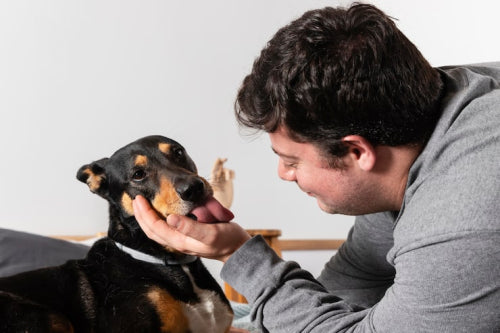 Chewing behavior and canine mental stimulation