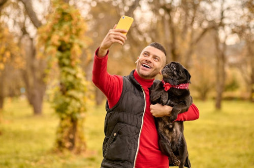 Social media influence on natural dog chew awareness