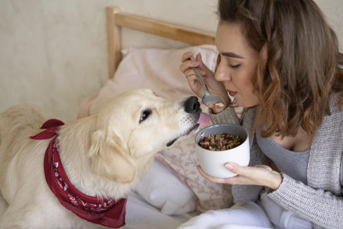 Single protein dog treats in modern pet diets