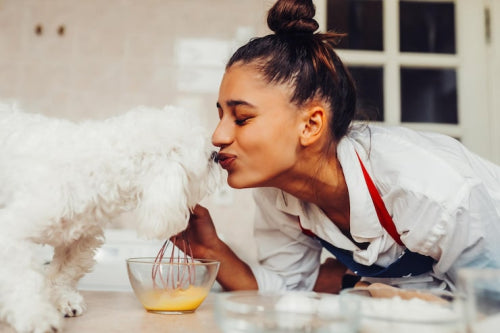 Natural dog treats in canine wellness routines