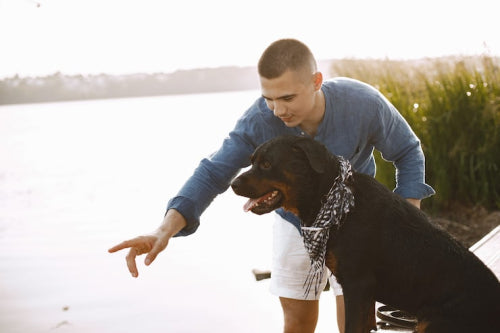 Pet humanization and natural dog treat demand