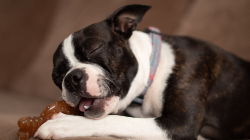 Long lasting chew performance across different materials