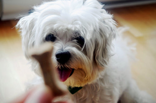 Natural dog treat ingredient transparency evaluation