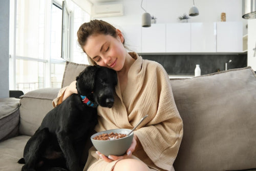 Dog chew suitability for sensitive digestion cases