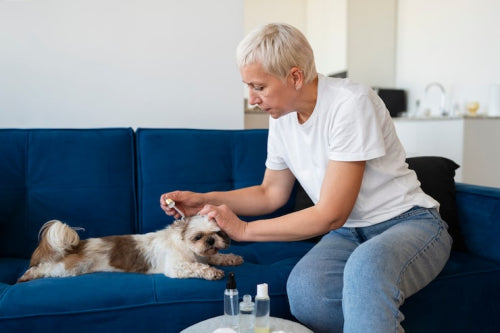 Choosing safe chew options for puppies and senior dogs