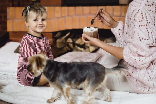 How to Choose Treats for Puppies, Adults, and Senior Dogs