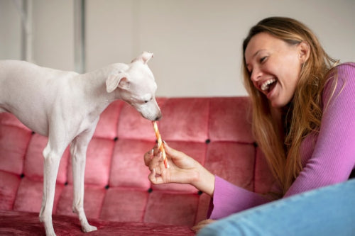 What to Know About Glucosamine and Chondroitin in Dog Chews