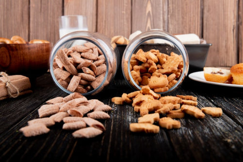 What Makes Dehydrated Dog Treats Different From Processed Snacks
