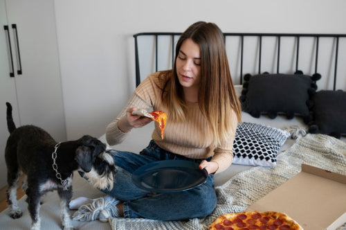 How to Choose Dog Treats for Picky Eaters