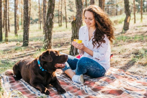 What Makes Natural Dog Snacks Better for Everyday Rewards