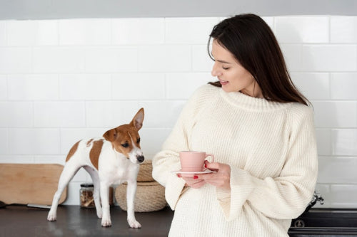 How Dog Treat Choices Affect Digestion and Comfort